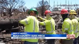 Maui County sues Hawaiian Electric Company for civil damages