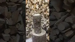 Splitting log for every new follower #woodsplitting #foryou #axe #woodwork #wood #wood