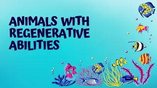 Regenerative Animals You Won't Believe Exist!