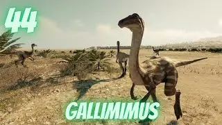 Random Dinosaur Facts in Under a Minute Ep 44: Gallimimus