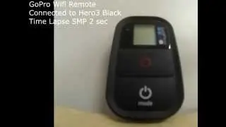 GoPro Remote Battery Life