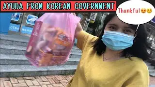 WE RECEIVED FINANCIAL SUPPORT FROM KOREAN GOVERNMENT l INTERNATIONAL COUPLE l TEAM LEE KR