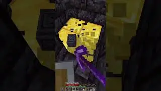So I've never RAIDED a Minecraft Bastion before...
