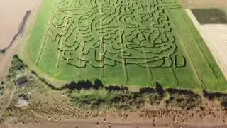 Rupertswood crop maze 2024