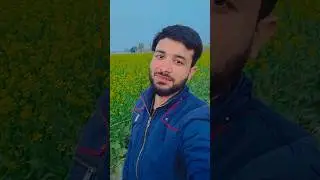 Ham deewane Hain Ishq karte Hain #trendingsong #song #music #etertainment #shortvideo #viral #love