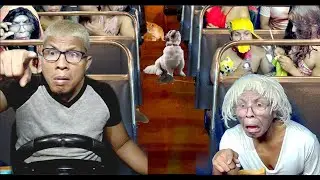 SUBUKAN MOLANG MANG ASAR
