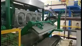 #eggtraymachine Paper medical tray mold machine egg crate making machine WhatsApp +8618339233758