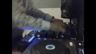 Untamed Frequency // Snow Tiger [home]
