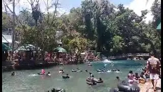 diving show malumpati @ guia pandan