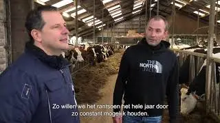Veehouders geven tips over vet & eiwit | Harold Gijmink, melkveehouder in Nieuwlande (DR)