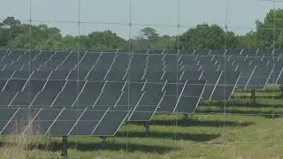Washington Parish's solar farm could change the energy landscape in Louisiana