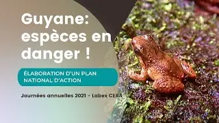 Elaboration d&rsquo;un Plan National d&rsquo;Action pour les Anomaloglossus du groupe degranvillei