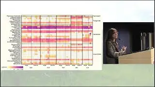 Pesticide Contamination of Butterfly Host Plants in the Modified Landscapes of the Central Valley