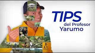 Estaci&oacute;n experimental El Rosario - Tips del Profesor Yarumo