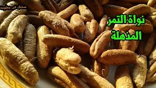 نواة التمر اكثر من 10 فوائد فى بذرة البلح المعجزة للصداع ومقاومة الفيروسات والكثير ؟؟