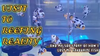 First Time Visit To Reefing Reality Singapore