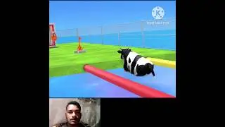 Choose The Right Kay | Choose The Right Animals #shorts #choosetherightkey #berrypiechannel #cow