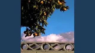 a fine day today
