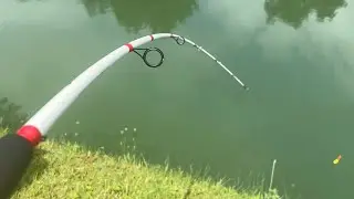 Only ONE MONSTER Can EVER Make This EPIC Fishing Rod BEND!