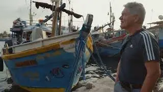 Sri Lanka - Colombo - Fish Market early morning 2025