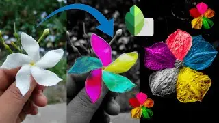 Snapseed  Colours grading in Flowers  editing tutorial |Snapseed New editing 2020