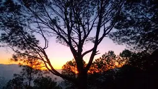 Early Morning Walk in the Mountains | Dawn Bird Sounds