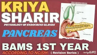 Endocrinology Physiology BAMS 👉Pancreas endocrine gland in hindi | Insulin | Functions | Structure💯