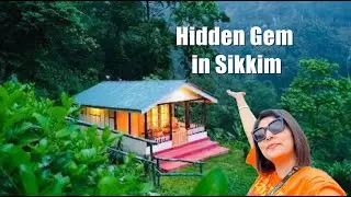 Hidden gem of Sikkim - Enchanted Forest Farm | Best Homestays in Gangtok