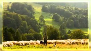 Ambient Slideshow