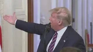 Donald Trump must testify in New York investigation, judge rules | FOX 7 Austin