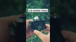 Cool LCD Trick For Olympus/OM System Cameras