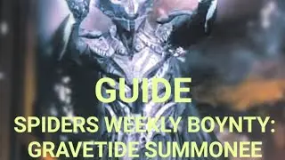 SPIDERS WEEKLY BOYNTY: GRAVETIDE SUMMONER GUIDE!