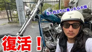わけあって5ヶ月バイクに乗れませんでした・・・。パンヘッドチョッパーついに復活！ヴィンテージハーレーダビッドソン【TGM】