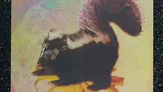 Skunk Spirit✨Daily Guidance #skunk #spirit #message #knowyourworth #spiritanimal