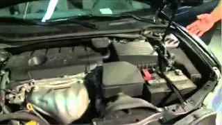 Automobile Water Damage Interview