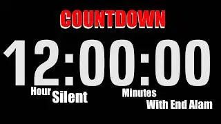 12 Hour Timer +Silent Countdown +End Alarm