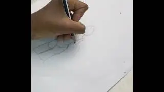  &ldquo;Watch this drawing come to life ✨ #shorts #artforkids #creativekids #pencildrawing #sketching 