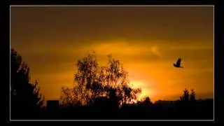 Edgar Allan Poe Soundtrack 