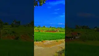 MasyaAllah #fyp #bogor #fypage