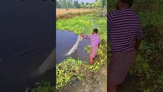 New Fishing idea 29  #shorts #viralshorts #shortsvideo