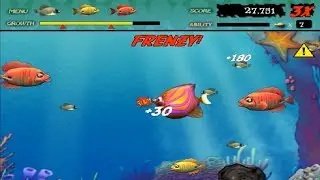Feeding Frenzy Deluxe - Stage 1 - 24 (Normal Mode)