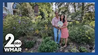 Thinking outside the garden box: Native garden contest now open in Towson
