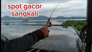 Mancing cirata lpk sangkali gacor barudak  #janggari #mancing #mancingceria #lewatberanda#mancing