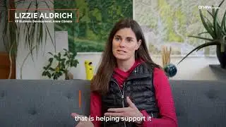Understanding High Quality Carbon Credits | Carbon Explained