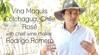 Vina Maquis: Ros&eacute; with Winemaker Rodrigo Romero | Wine Tour BKWine