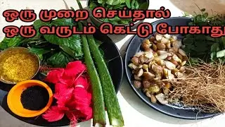 Traditional herbal hair oil preparation in tamil/How to prepare herbal hair oil/mooligai ennai