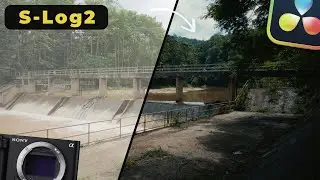 My Sony ZV-E10 S-Log2 Color Grading Workflow!