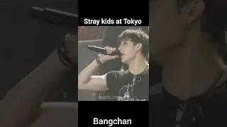 Stray kids DominATE at Tokyo #kpop #shorts #tokyo #dominate #straykids #stay #worldtour #moments