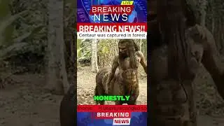 Centaur was captured in forest #news