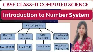 Number System | Binary, Octal, Decimal and Hexadecimal Number System | Introduction to Number System